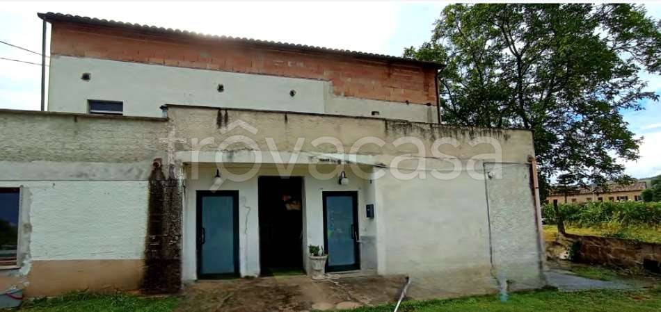 appartamento in vendita a Grottazzolina