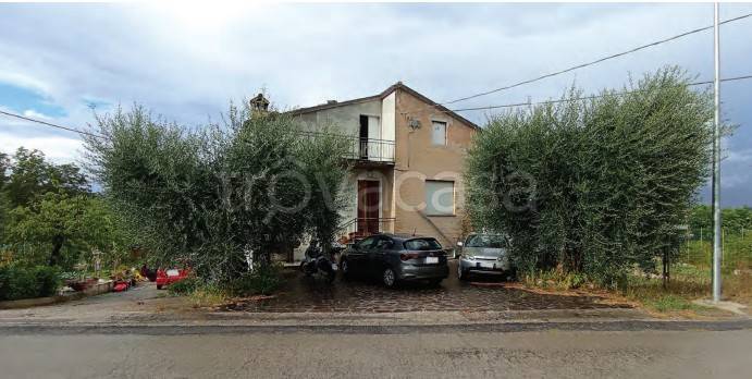appartamento in vendita a Grottazzolina