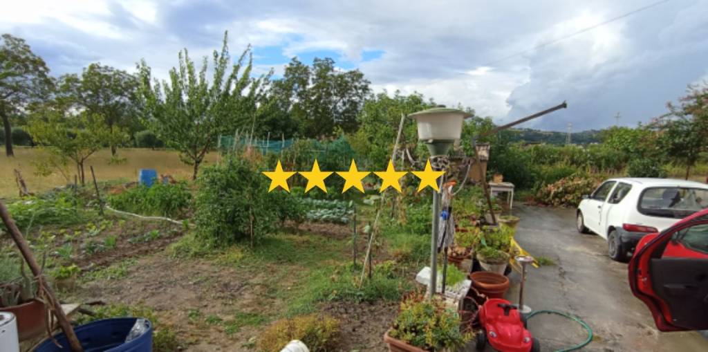 appartamento in vendita a Grottazzolina