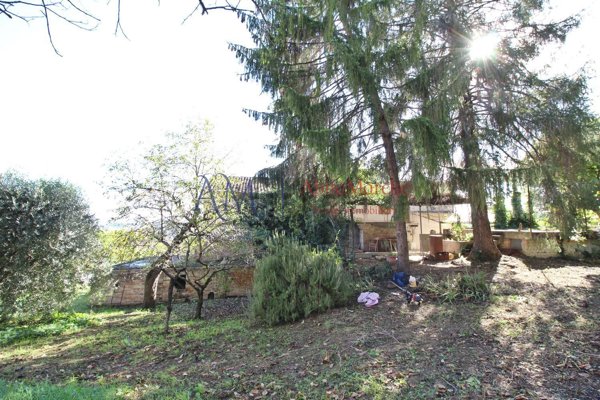 casa indipendente in vendita a Grottazzolina