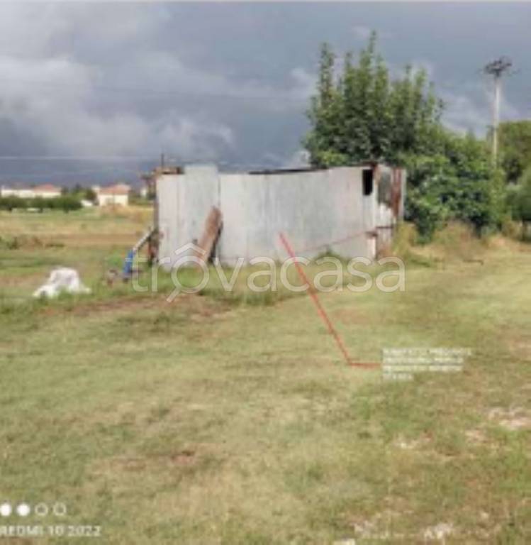 terreno agricolo in vendita a Grottazzolina