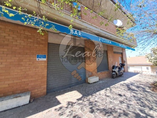 appartamento in vendita a Grottazzolina