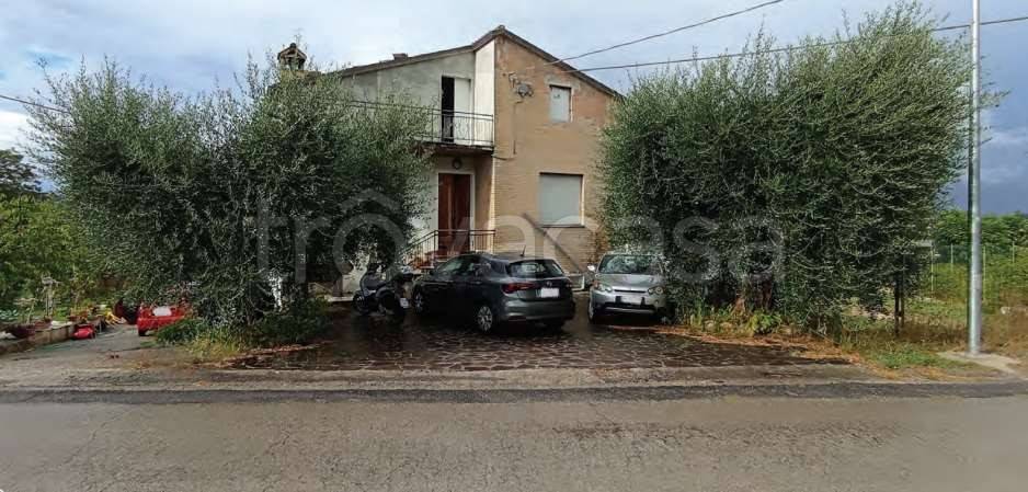 appartamento in vendita a Grottazzolina