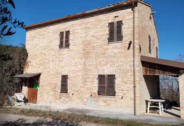 casa indipendente in vendita a Grottazzolina