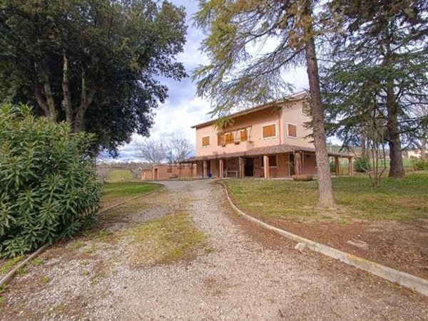 casa indipendente in vendita a Grottazzolina