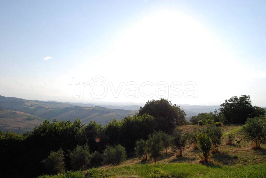 terreno agricolo in vendita a Lapedona