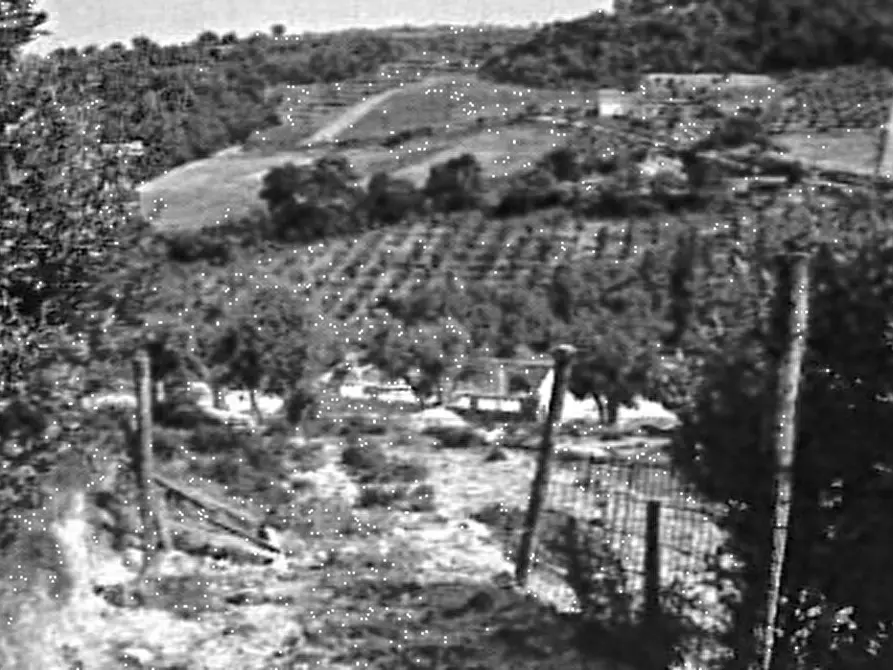 terreno agricolo in vendita a Lapedona