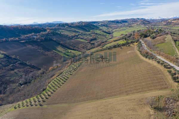 terreno agricolo in vendita a Lapedona