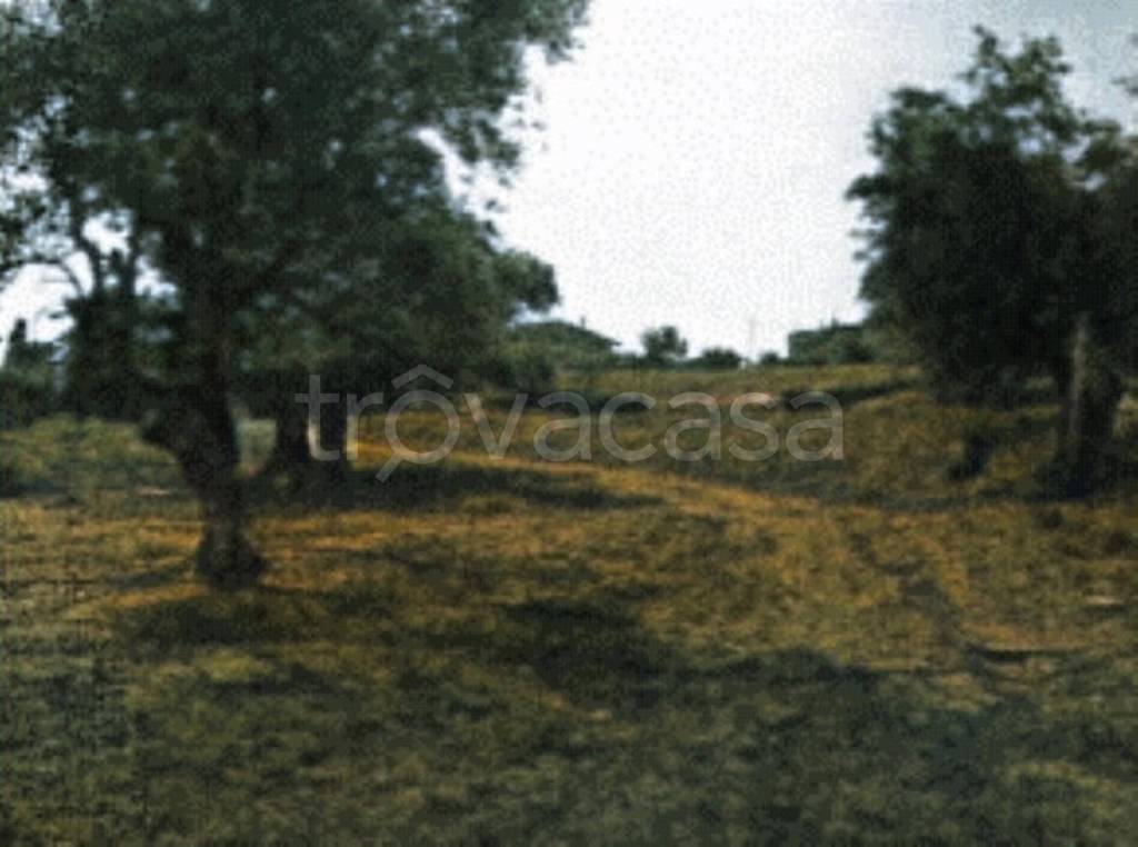 terreno edificabile in vendita a Lapedona