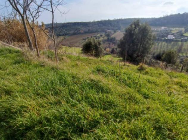 terreno edificabile in vendita a Lapedona