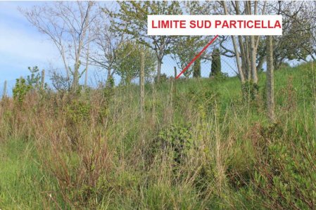 terreno agricolo in vendita a Lapedona