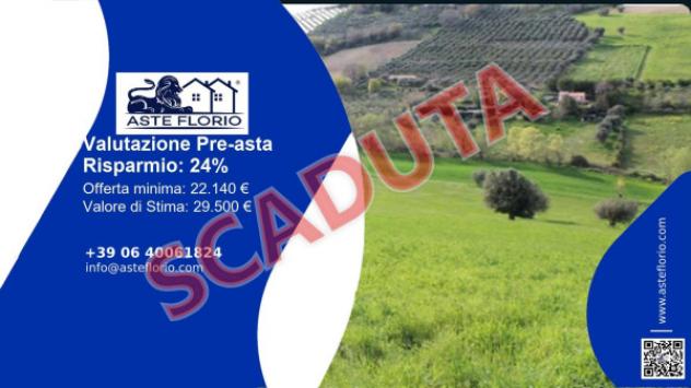 terreno agricolo in vendita a Lapedona