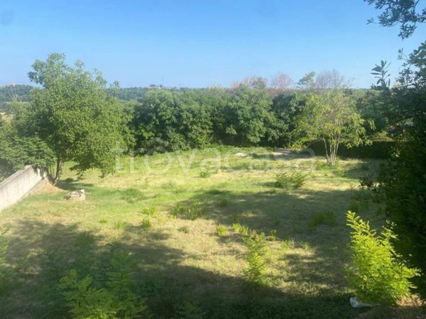 terreno agricolo in vendita a Lapedona