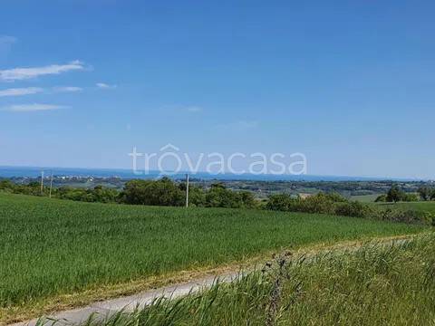 terreno agricolo in vendita a Lapedona