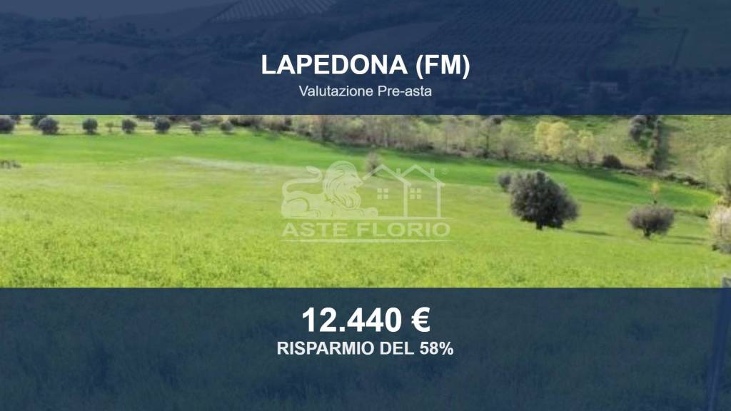 terreno agricolo in vendita a Lapedona