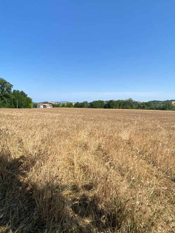 casa indipendente in vendita a Magliano di Tenna