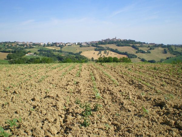 casa indipendente in vendita a Magliano di Tenna
