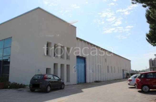 appartamento in vendita a Magliano di Tenna