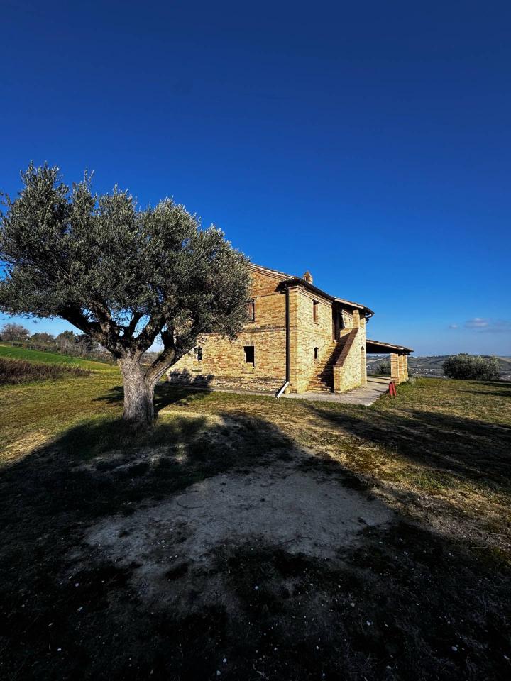 immagine annuncio 0 di 15
