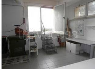 negozio in vendita a Massa Fermana