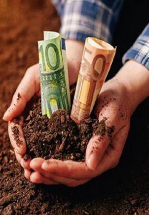 terreno agricolo in vendita a Massa Fermana