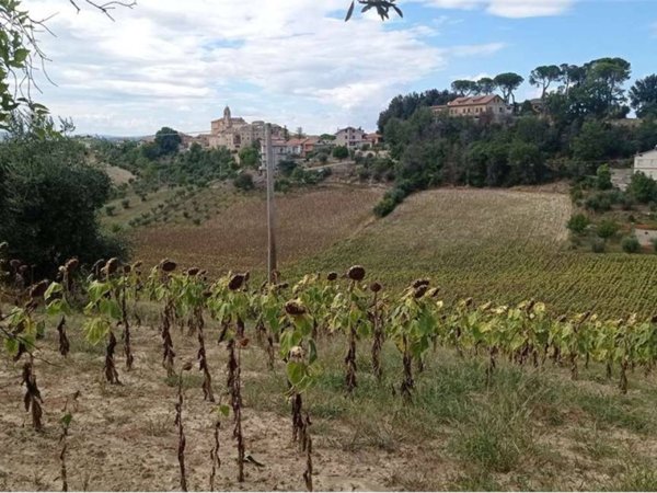 terreno agricolo in vendita a Monsampietro Morico