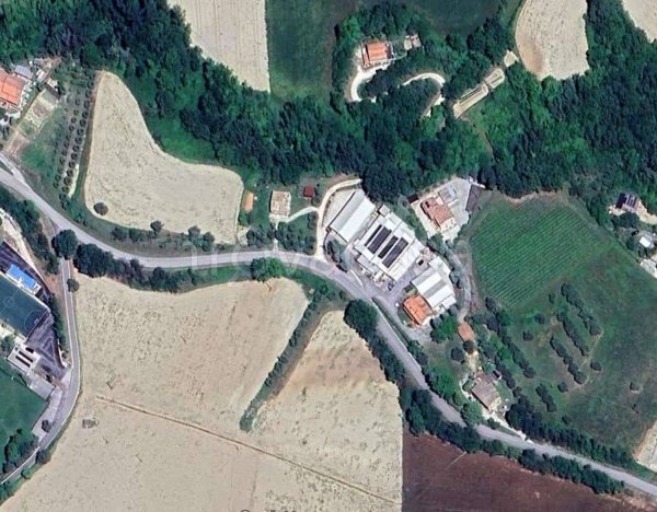 terreno agricolo in vendita a Monsampietro Morico