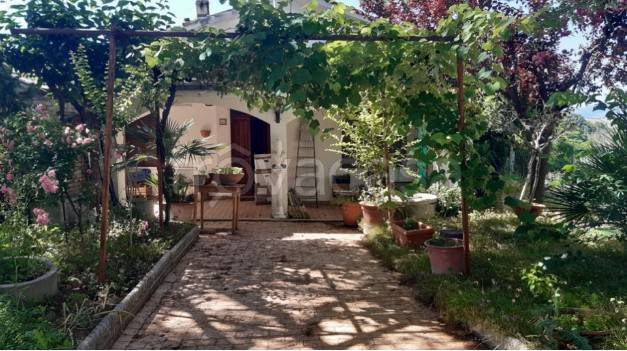 casa indipendente in vendita a Montappone