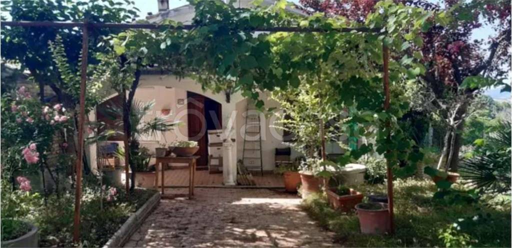 casa indipendente in vendita a Montappone