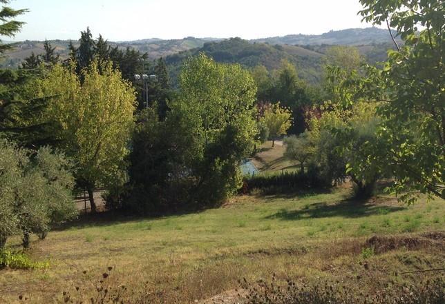 appartamento in vendita a Montappone