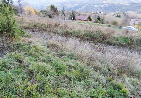 terreno edificabile in vendita a Montefalcone Appennino