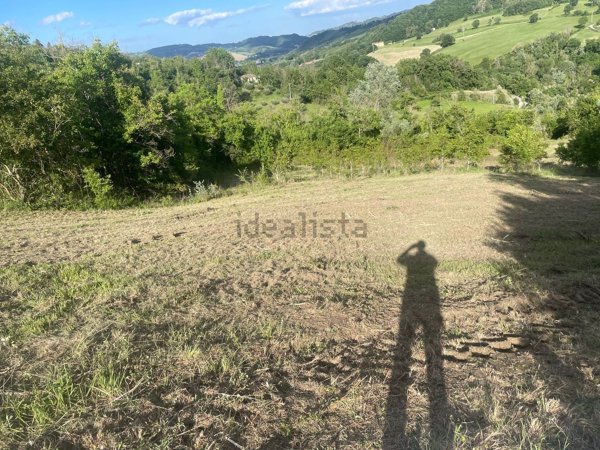 terreno agricolo in vendita a Montefalcone Appennino
