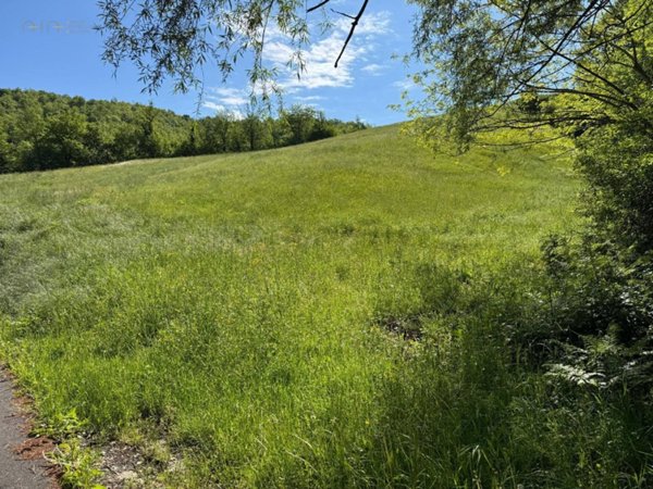 terreno agricolo in vendita a Montefortino in zona Cerretana