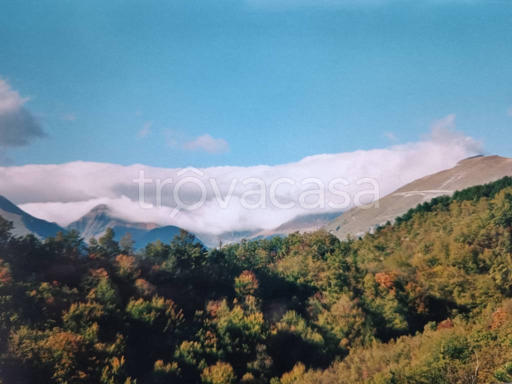 casa indipendente in vendita a Montefortino