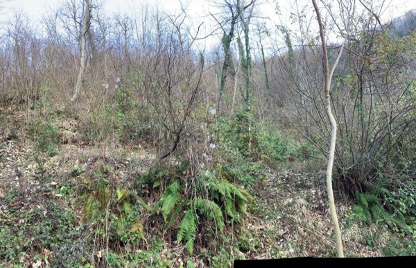 terreno agricolo in vendita a Montefortino