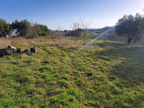 terreno agricolo in vendita a Monte Giberto