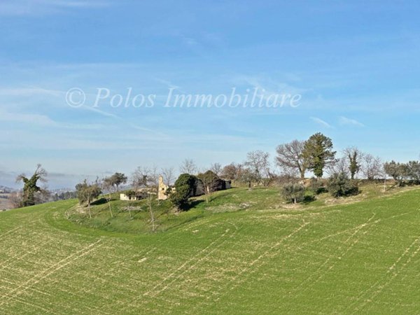 casa indipendente in vendita a Monte Giberto