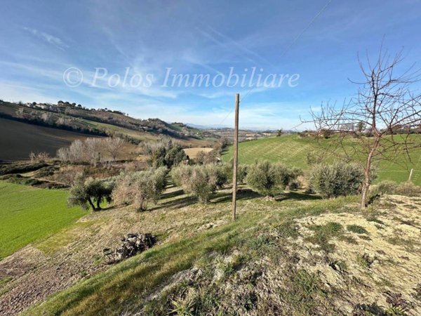 casa indipendente in vendita a Monte Giberto