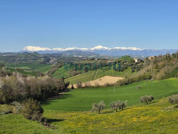 appartamento in vendita a Monte Giberto