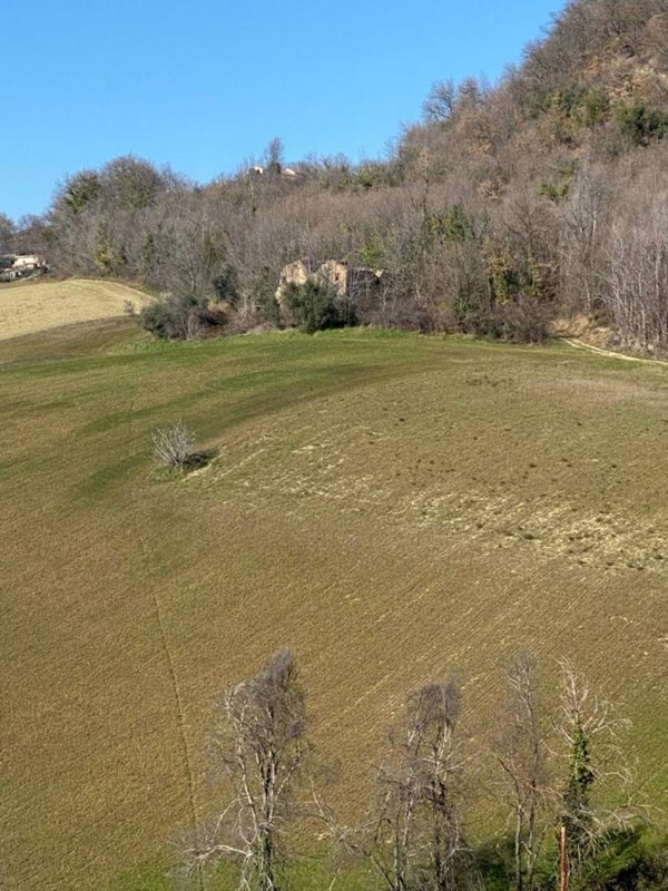 terreno agricolo in vendita a Montegiorgio in zona Monte Verde