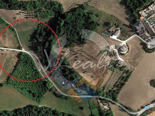 terreno agricolo in vendita a Montegiorgio