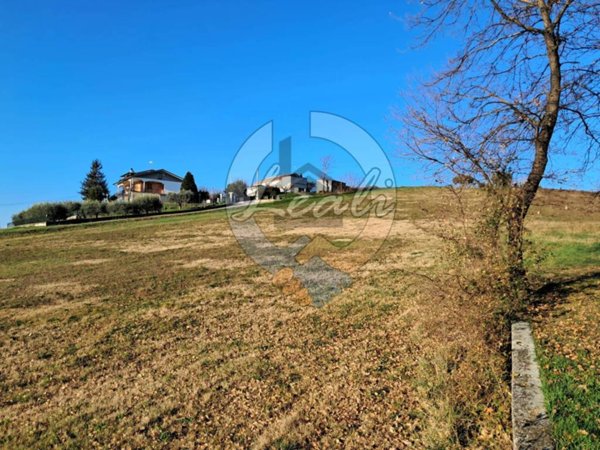 negozio in vendita a Montegiorgio