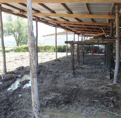 terreno agricolo in vendita a Montegiorgio in zona Monte Verde