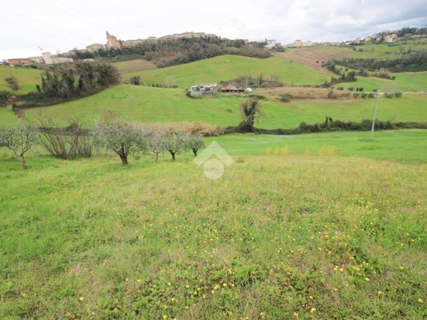 terreno agricolo in vendita a Montegiorgio