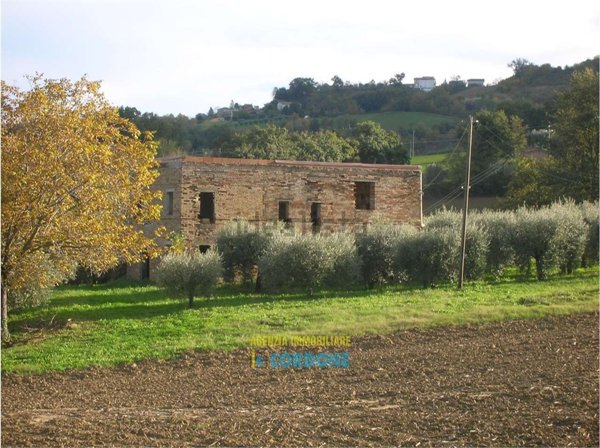 terreno agricolo in vendita a Montegiorgio