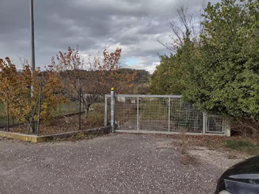 terreno agricolo in vendita a Montegiorgio
