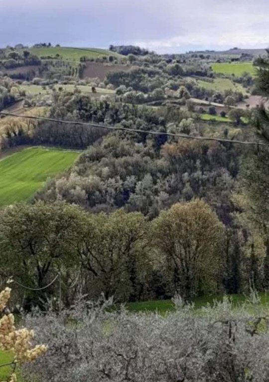 terreno agricolo in vendita a Montegiorgio