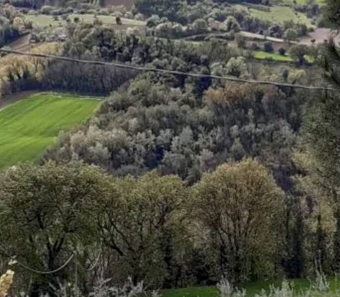terreno agricolo in vendita a Montegiorgio