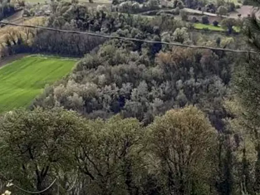 terreno agricolo in vendita a Montegiorgio