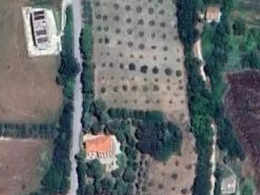 terreno agricolo in vendita a Montegiorgio